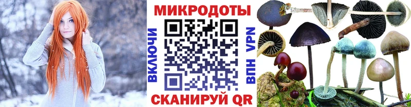 Псилоцибиновые грибы мухоморы Верхняя Пышма