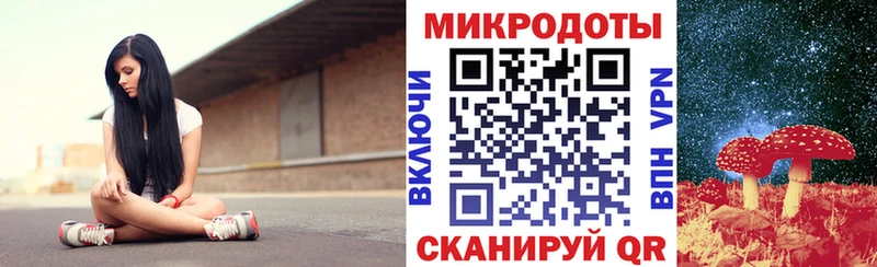 Галлюциногенные грибы Psilocybe  цены наркотик  Верхняя Пышма 
